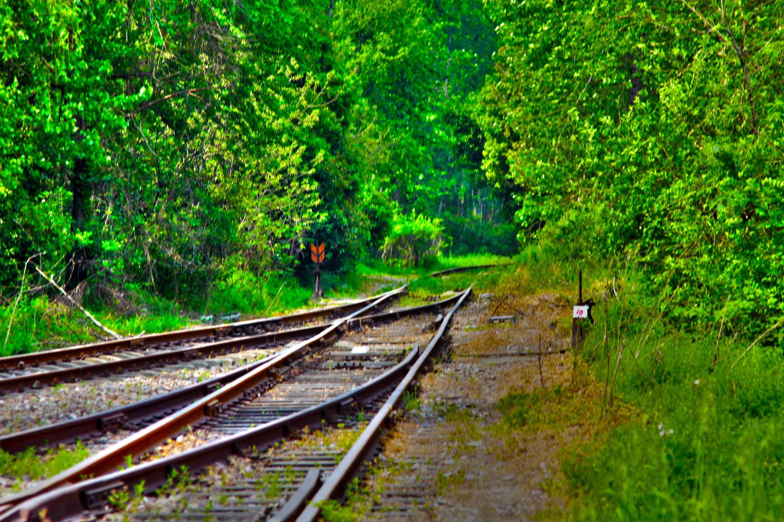 我省今年年內(nèi)有4條鐵路線投入運(yùn)營更多出行選擇！