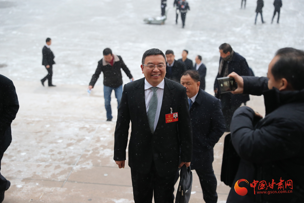 【聚焦2020甘肅兩會(huì)】“兩會(huì)”代表、委員風(fēng)采掠影（組圖）