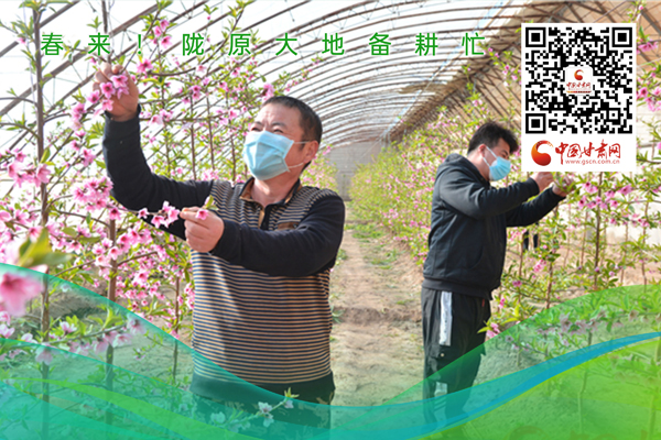 海報(bào)丨春來！隴原大地春耕忙