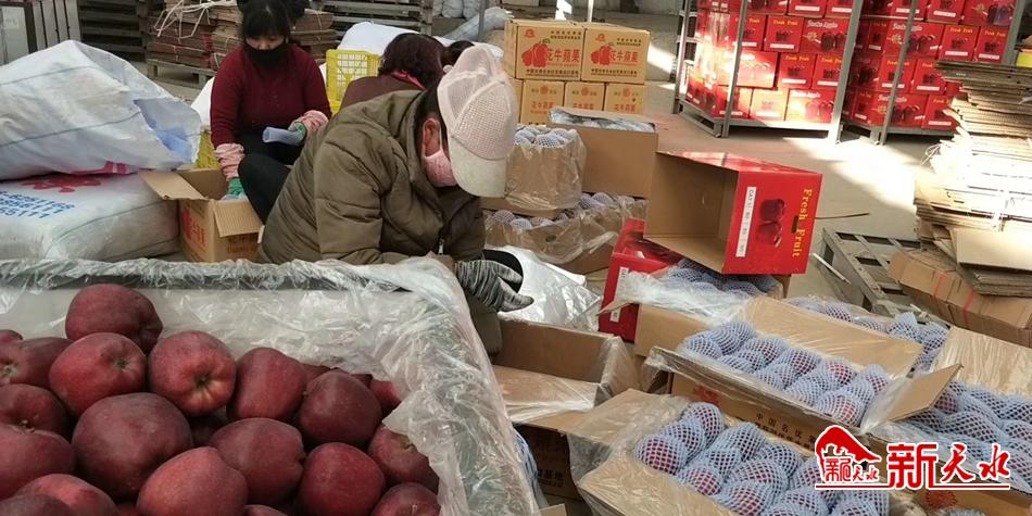 天水“花?！弊罱悬c“?！?>
        </a><em>天水“花牛”最近有點“?！?/em></li>
    <li><a  target=