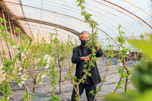 銅城復(fù)蘇：春光明媚，邀你共賞芳華（組圖）