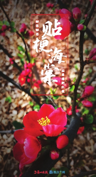 來，跟這些美美的花朵認識一下！