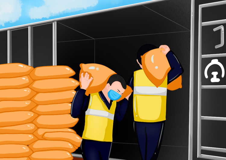 【光明漫評】保障春耕物資，播種希望筑牢信心