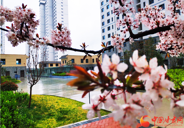 【決戰(zhàn)決勝脫貧攻堅(jiān)】全省易地扶貧搬遷取得明顯成效 “十三五”49.9萬(wàn)建檔立卡貧困人口全部實(shí)現(xiàn)搬遷入住