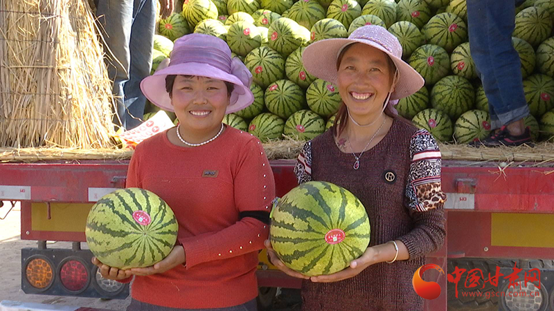 靖遠：東西部攜手澆灌“致富花”