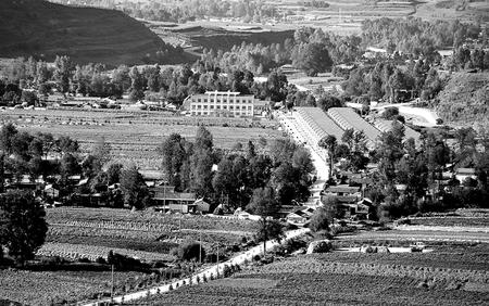 元古堆村的“領(lǐng)頭羊”(報告文學）