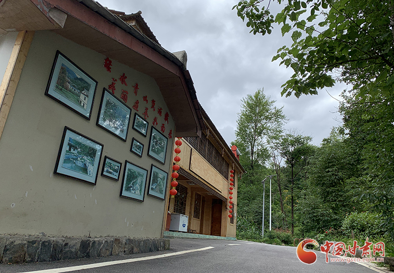 【走向我們的小康生活】村美、業(yè)興、民富……康縣何家莊描繪鄉(xiāng)村振興新畫卷（圖）