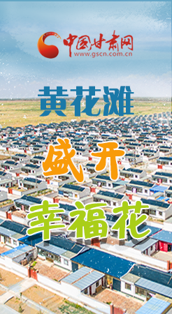 【跟著總書記看甘肅】長圖|武威黃花灘盛開幸?；?