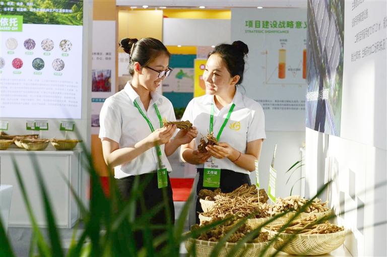 定西，從“千年藥鄉(xiāng)”邁向“中國藥都”