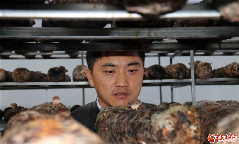 110年！何家溝村終于有了集體經(jīng)濟(jì)——中建二局黨建結(jié)對幫扶成效顯著