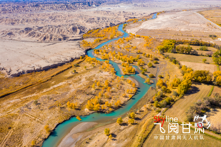 【飛閱甘肅】好美！疏勒河畔大地斑斕