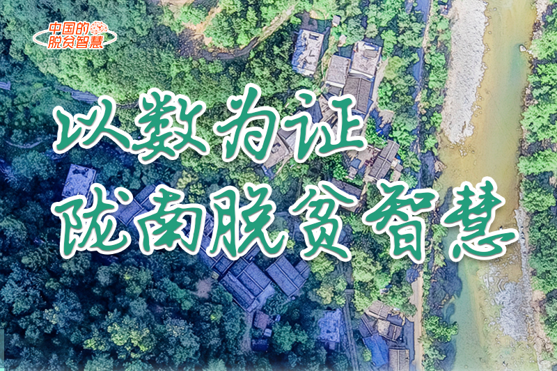 【中國(guó)的脫貧智慧】以數(shù)為證！隴南脫貧智慧來(lái)了！