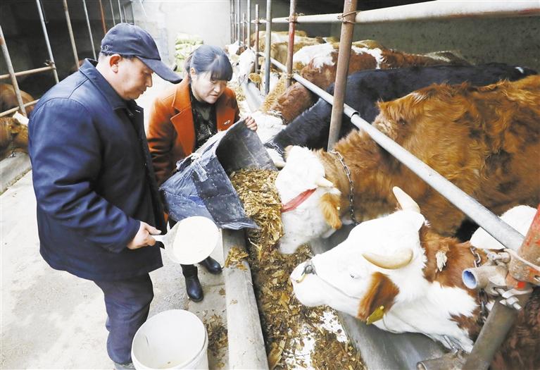 我和我的家鄉(xiāng)丨定西臨洮縣黨家墩村：“?！碑a(chǎn)業(yè)帶來“?！比兆?>
        </a><em>我和我的家鄉(xiāng)丨定西臨洮縣黨家墩村：“?！碑a(chǎn)業(yè)帶來“?！比兆?/em></li>
    <li><a  target=