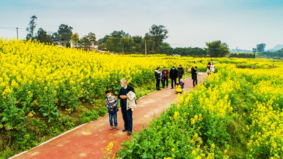游客在花海里踏青。廖濤 攝