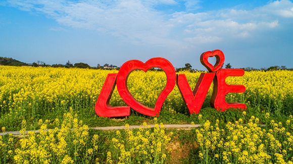 “l(fā)ove”創(chuàng)意拍照墻。廖濤 攝