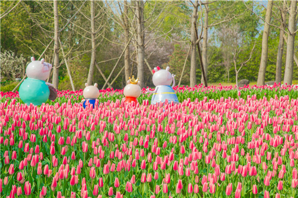 長(zhǎng)壽湖郁金香次第開(kāi)放。羅云希 攝