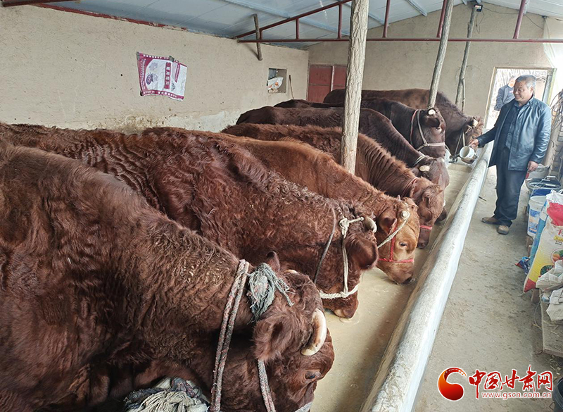 平?jīng)鰶艽ǎ骸芭！碑a(chǎn)業(yè)鋪就致富路