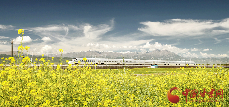 坐上火車“邂逅”春天，你可以這樣享“鐵路游”