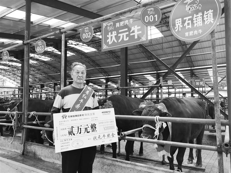 120頭“平?jīng)黾t?！膘o寧爭霸