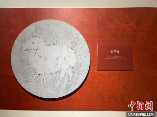 圖為展覽現(xiàn)場(chǎng)?！〗瓧顭?攝