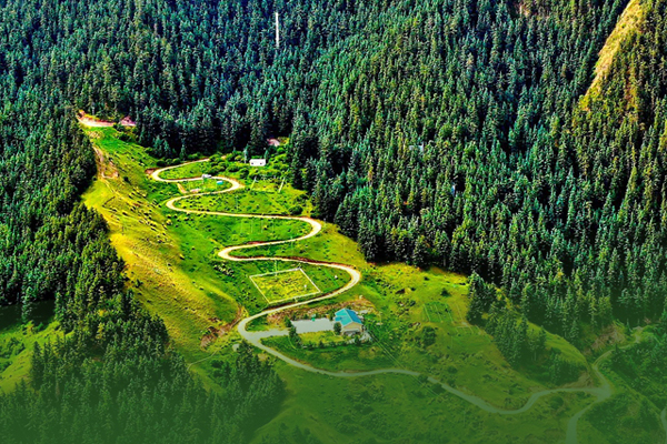 海報|祁連山保護區(qū)生態(tài)環(huán)境問題整改全面完成！