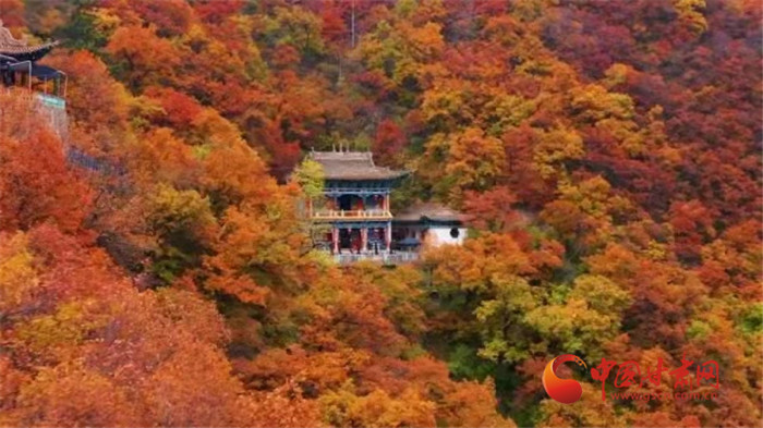 【甘肅省“100系列”獻(xiàn)禮建黨百年】物華天寶潤(rùn)隴原·蘭州榆中捧出詩(shī)畫田園 引青海游客入甘樂(lè)享鄉(xiāng)村之旅