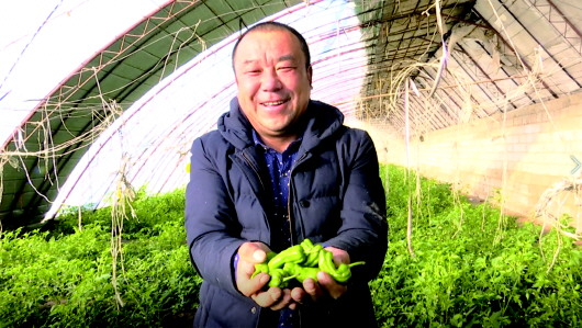 酒泉市瓜州縣廣至藏族鄉(xiāng)農產品銷售形勢向好