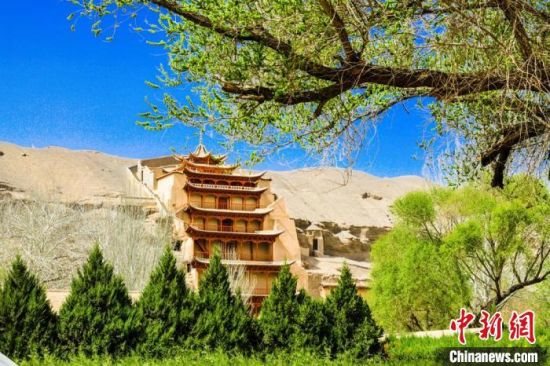4月的敦煌莫高窟景區(qū)春意盎然。(資料圖) 王斌銀 攝