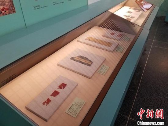 圖為展覽現(xiàn)場(chǎng)?！《鼗脱芯吭汗﹫D