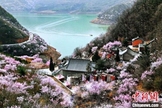 甘肅平?jīng)鍪惺侵袊鴥?yōu)秀旅游城市。圖為平?jīng)鲠轻忌较率锾一ㄊ㈤_。(資料圖) 平?jīng)鍪形麄鞑抗﹫D