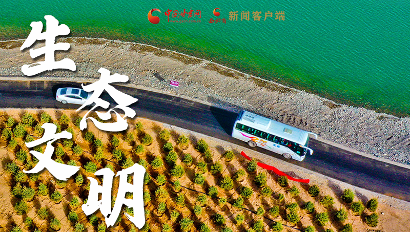 彈幕海報丨熱議甘肅省委十三屆十六次全會 網(wǎng)民聲音在回響！