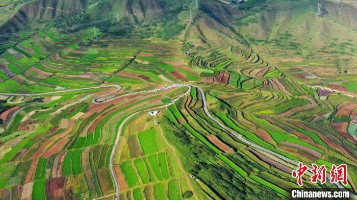 秋日里，榆中縣馬坡鄉(xiāng)千畝梯田，不同農(nóng)作物漸趨成熟，呈現(xiàn)出多種色彩，宛若大地的“調(diào)色盤”?！圆?攝