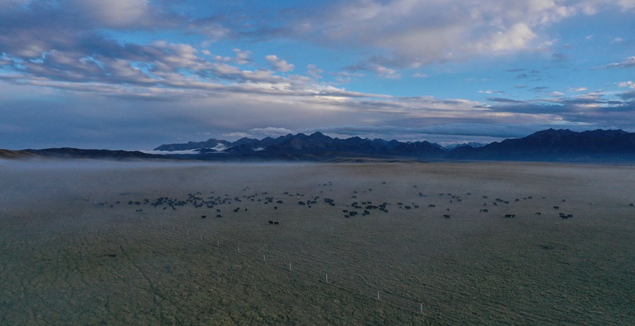 甘肅山丹馬場(chǎng)：峽谷云霧似仙境。 王超攝