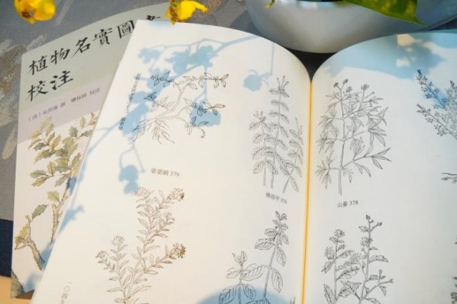 《植物名實圖考校注》內(nèi)頁。圖片來源：中華書局供圖