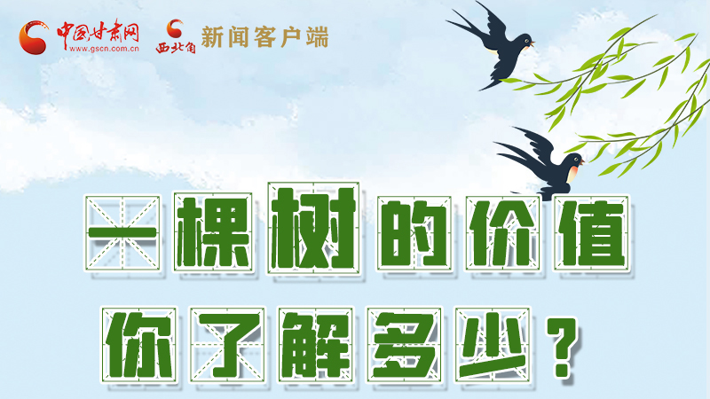 圖解|一棵樹的價(jià)值你了解多少?來看！