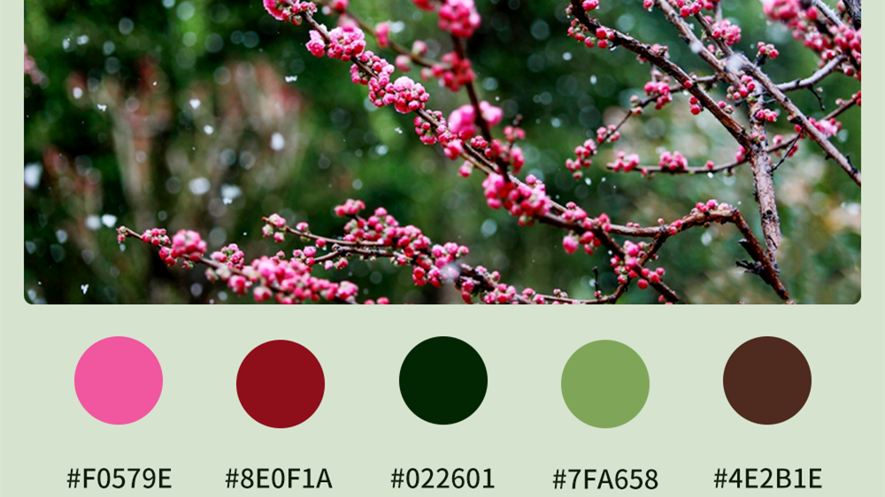 微海報(bào)|收藏！色卡里的春日甘肅