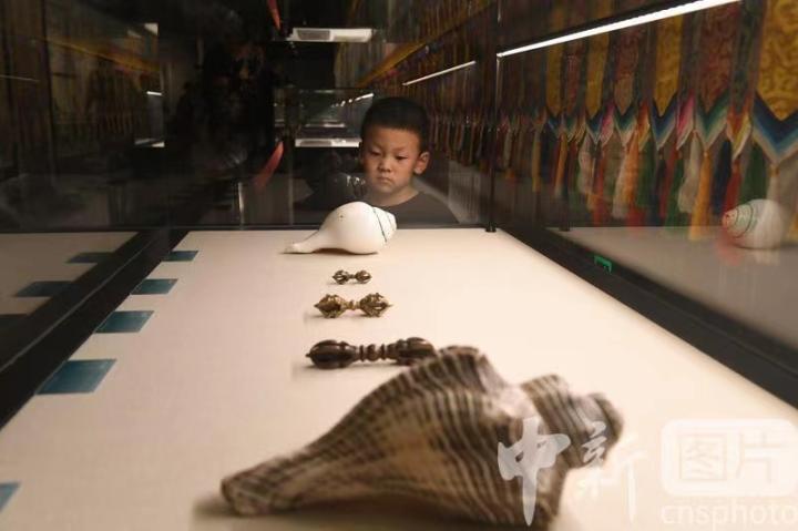 圖為展出的“白海螺法器”吸引小觀眾。 中新社記者 戴文昌 攝