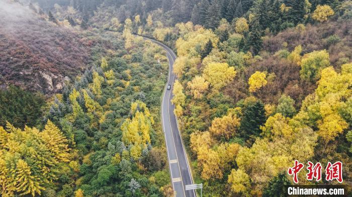 深秋，航拍位于蘭州市榆中縣的興隆山，景色如畫。金峯 攝</p>
<p>