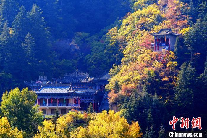 深秋，位于蘭州市榆中縣的興隆山景色如畫。宮衛(wèi)紅 攝