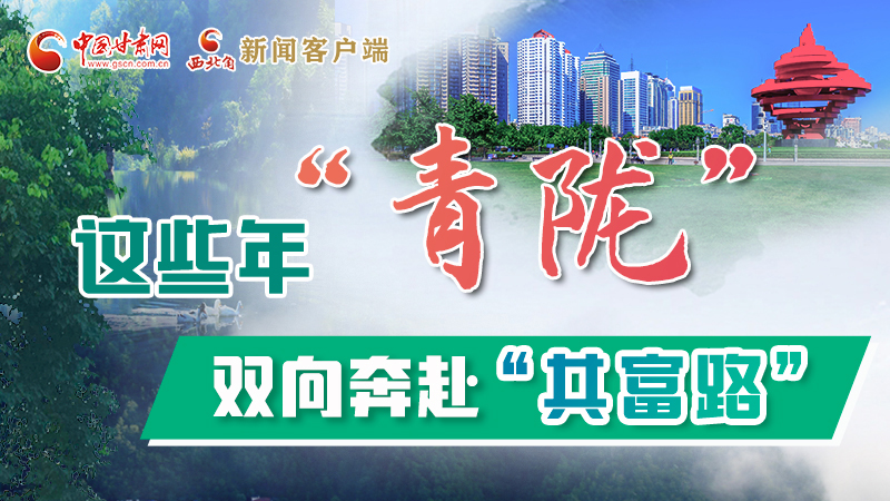 【江河奔流·青隴協(xié)作譜新篇】這些年，“青隴”雙向奔赴“共富路”