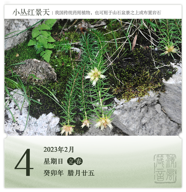 箴歷日歷2-4.png