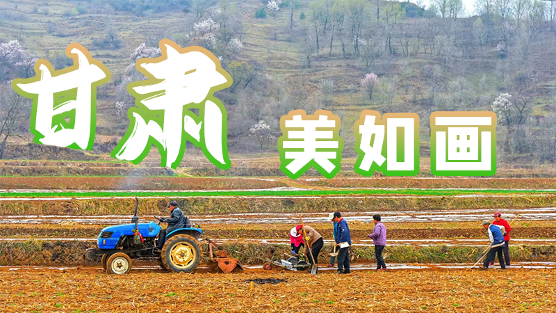 微海報(bào)|甘肅，美如畫(huà)