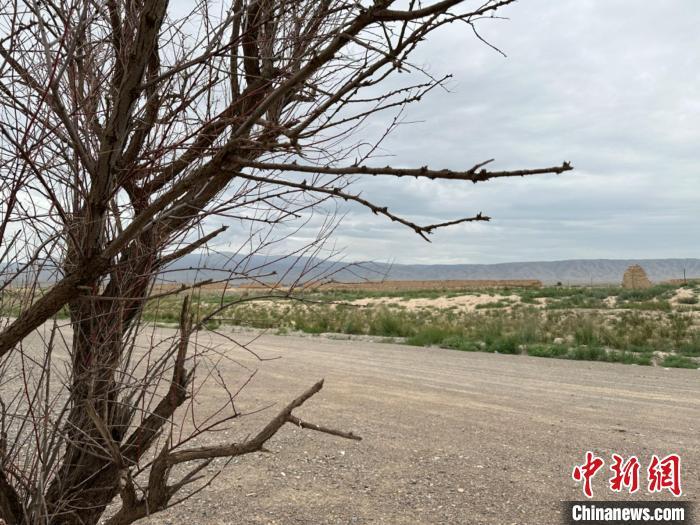 圖為位于長城墻體上的“馬面”或“敵臺”?！〈魑牟?攝