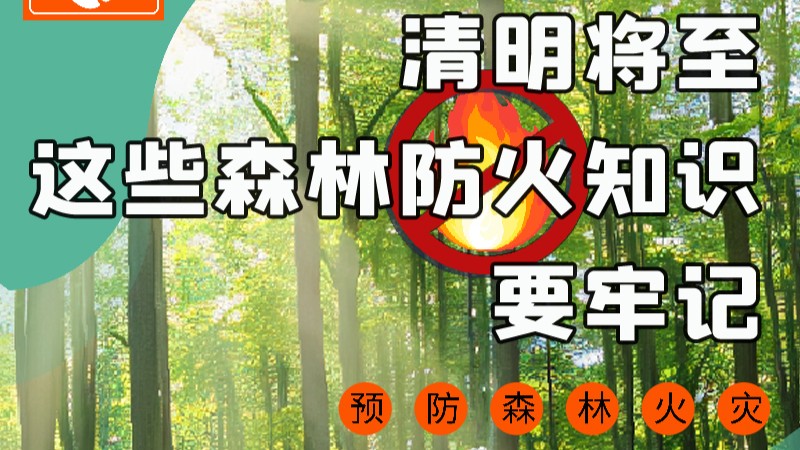【甘快看】圖解|緊繃“安全弦”！清明，這些森林防火知識要牢記