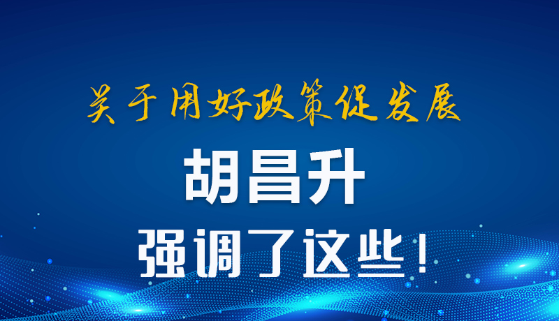 圖解|關(guān)于用好政策促發(fā)展 胡昌升強調(diào)了這些！
