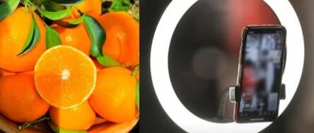 聲稱“橙子提高免疫力”、“悲情助農(nóng)”等類案頻發(fā)，敲響各單位直播帶貨警鐘