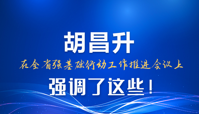 圖解|胡昌升在全省強基礎(chǔ)行動工作推進(jìn)會議上強調(diào)了這些！